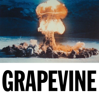 Tiesto - Grapevine