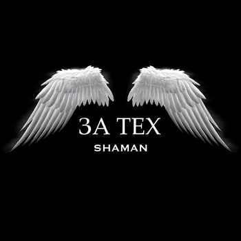 Shaman - За тех