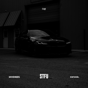 Mvdnes - Stfu