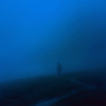 sadtones - dimness (Slowed)