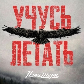 Нэил Шери - Оптимист