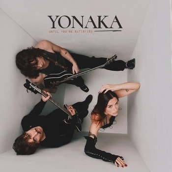 Yonaka - Problems