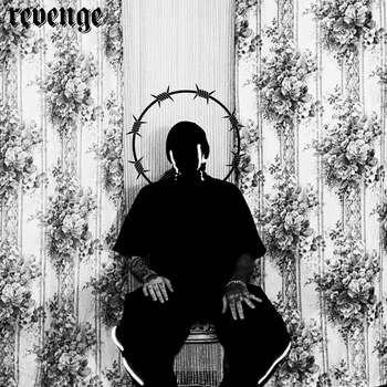 Blessed Mane - paladin