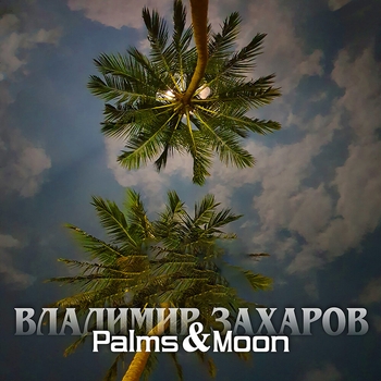 Владимир Захаров - Palms and Moon 14