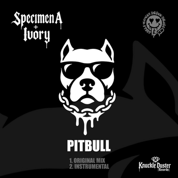 Specimen A, Ivory - PITBULL