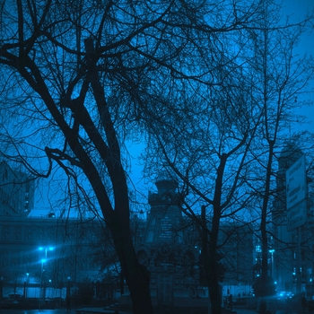 The Morph, Mklv - night vibe