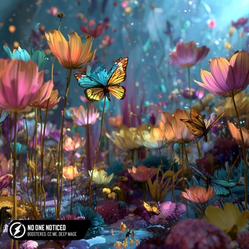Boostereo, CC Me, Deep Mage - No One Noticed
