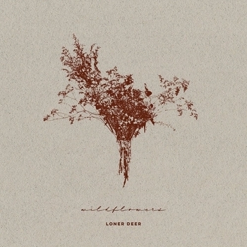 Loner Deer - Are You Goin' somewhere ?