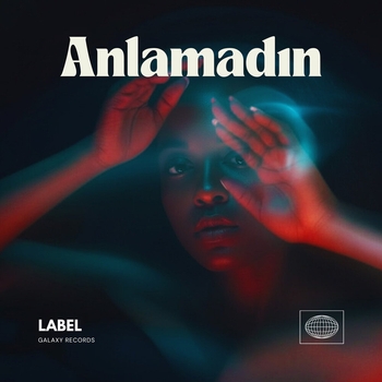 Muslum Ari - Anlamadın