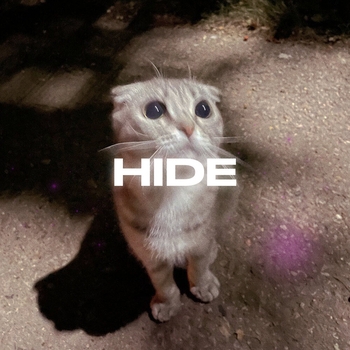 Rendow feat Isvnbitov - Hide (2024)