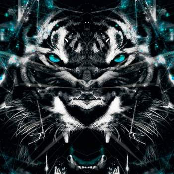 Rendow - Bad Habits (2022)