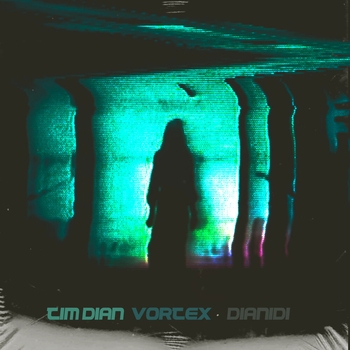 Tim Dian feat Dianidi - Vortex