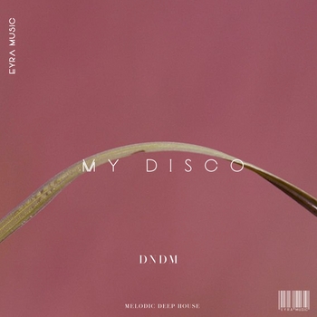 Dndm - My disco