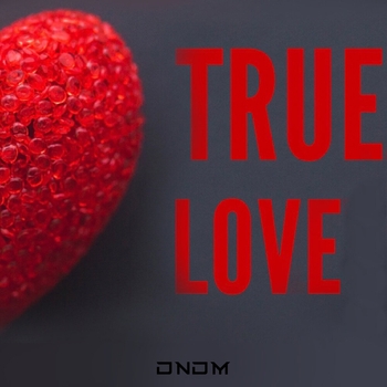 Dndm - True Love (Dndm Remix) (Single 2022) (Dndm)