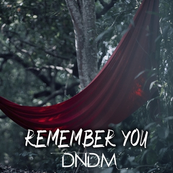 Dndm - Remember you (Single 2021)