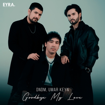 Dndm - Goodbye My Love