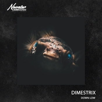 Dimestrix - Down Low (2023)