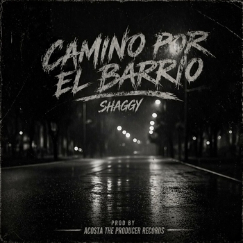 Shaggy, ACOSTA THE PRODUCER - Camino por el Barrio