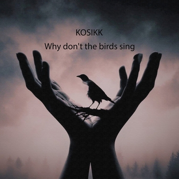 Kosikk - Why Don't the Birds Sing