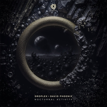 Альбом Nocturnal Activity Droplex, David Phoenix
