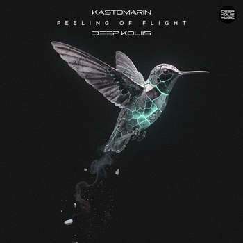 KastomariN, Deep Koliis - Feeling of Flight