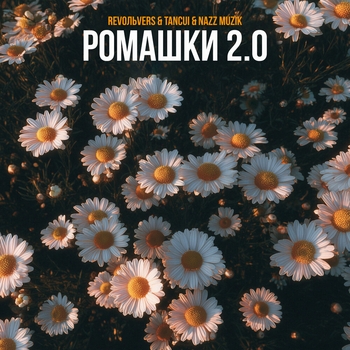 Revoльvers, TANCUI, Nazz Muzik - Ромашки 2.0