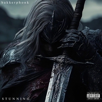 Альбом STUNNING Bakkerphonk