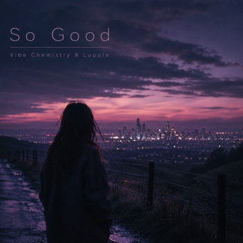 Vibe Chemistry, Lupole - So Good