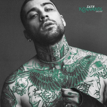 Zayn - Bad For You