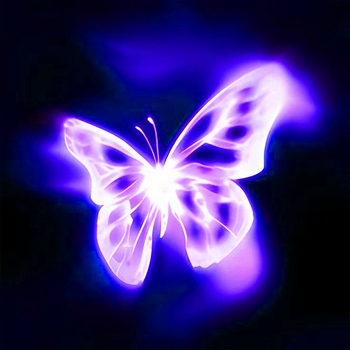 Альбом Butterfly effect Shiloh Dynasty, VNI.
