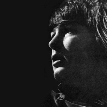 Brian Wilson - The Bare Necessities