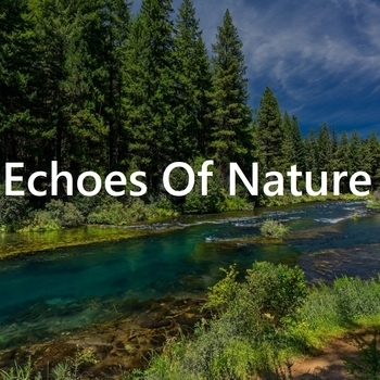 The Sounds Of Nature - 10