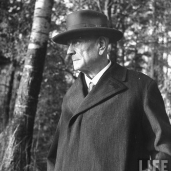 Jean Sibelius - Valse triste