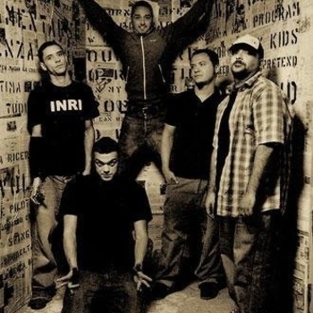 Linea 77 - Ants