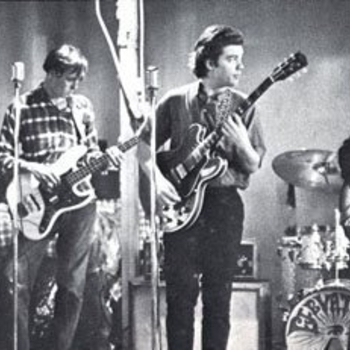 13th Floor Elevators - Thru the Rhythm