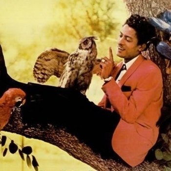 Bobby Day - Rockin Robin (Bobby Duque Remix)