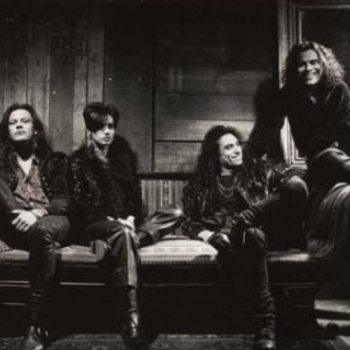 Baby Animals - Rush You