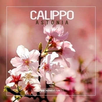 DJ Tonka - She Knows You (Calippo & DJ Tonka Radio Mix)