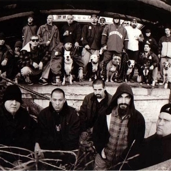 Cold as Life - Little from the World