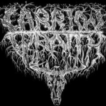 Carrion Wraith - Vers Une Nouvelle ère