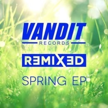 Eranga & Mino Safy feat. Maria Milewska - Up To You (Denis Sender Remix) (AGRMusic)