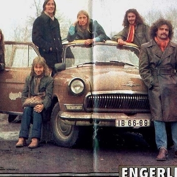 Engerling - Grüne Insel