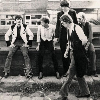 Flamin' Groovies - Paint it Black