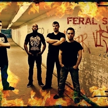 Feral Sun - Long Road