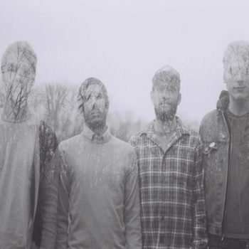 Greys and Beliefs - Long Wings
