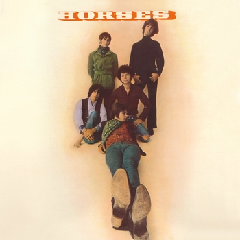 Horses - Asia Minor