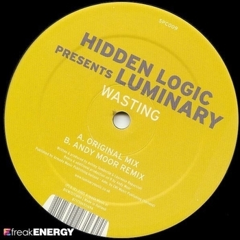 hidden logic presents luminary - Без названия