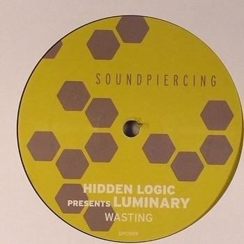 Hidden Logic pres. Luminary - Amsterdam (Smith & Pledger Remix)
