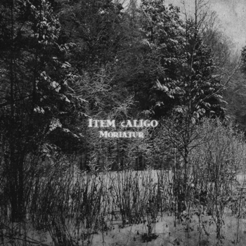 Item caligo - Evening blue