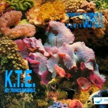 Key Tronics Ensemble - Anamaria